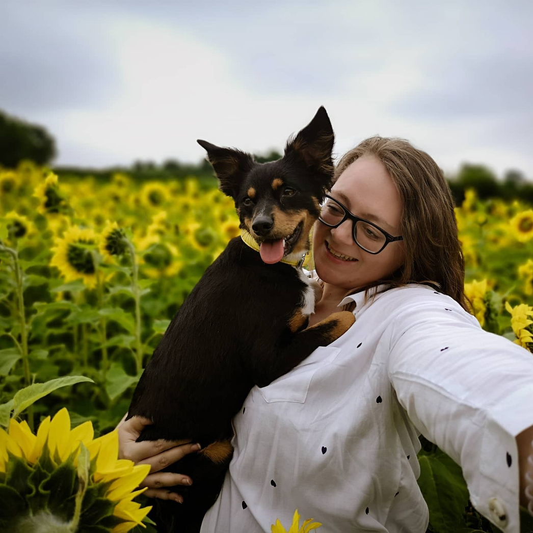 Adele Pamber with dog in sunflower field 